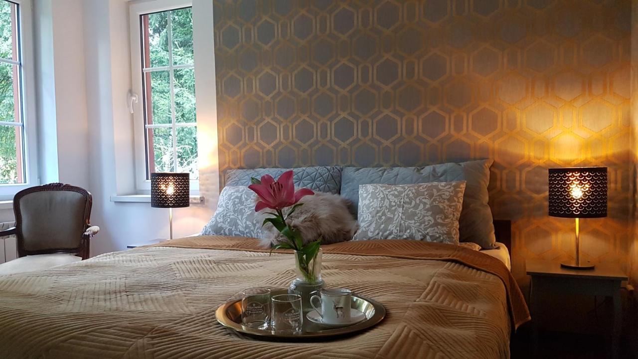 Willa Skalniak Lądek-Zdrój Exteriér fotografie